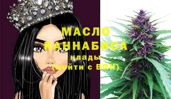 тгк Елабуга