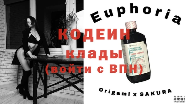 мдпв Каменка
