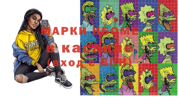 шишки Белоозёрский