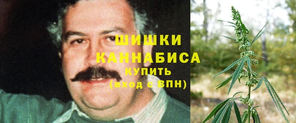 индика Зеленодольск