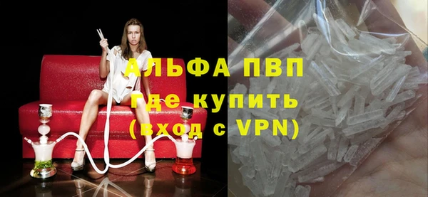 шишки Белоозёрский